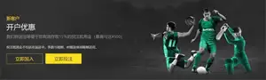 马丁内利分,阿尔特塔指,导我运用左,世界杯下注,2026世界杯,下注技巧,赔率分析,体育博彩